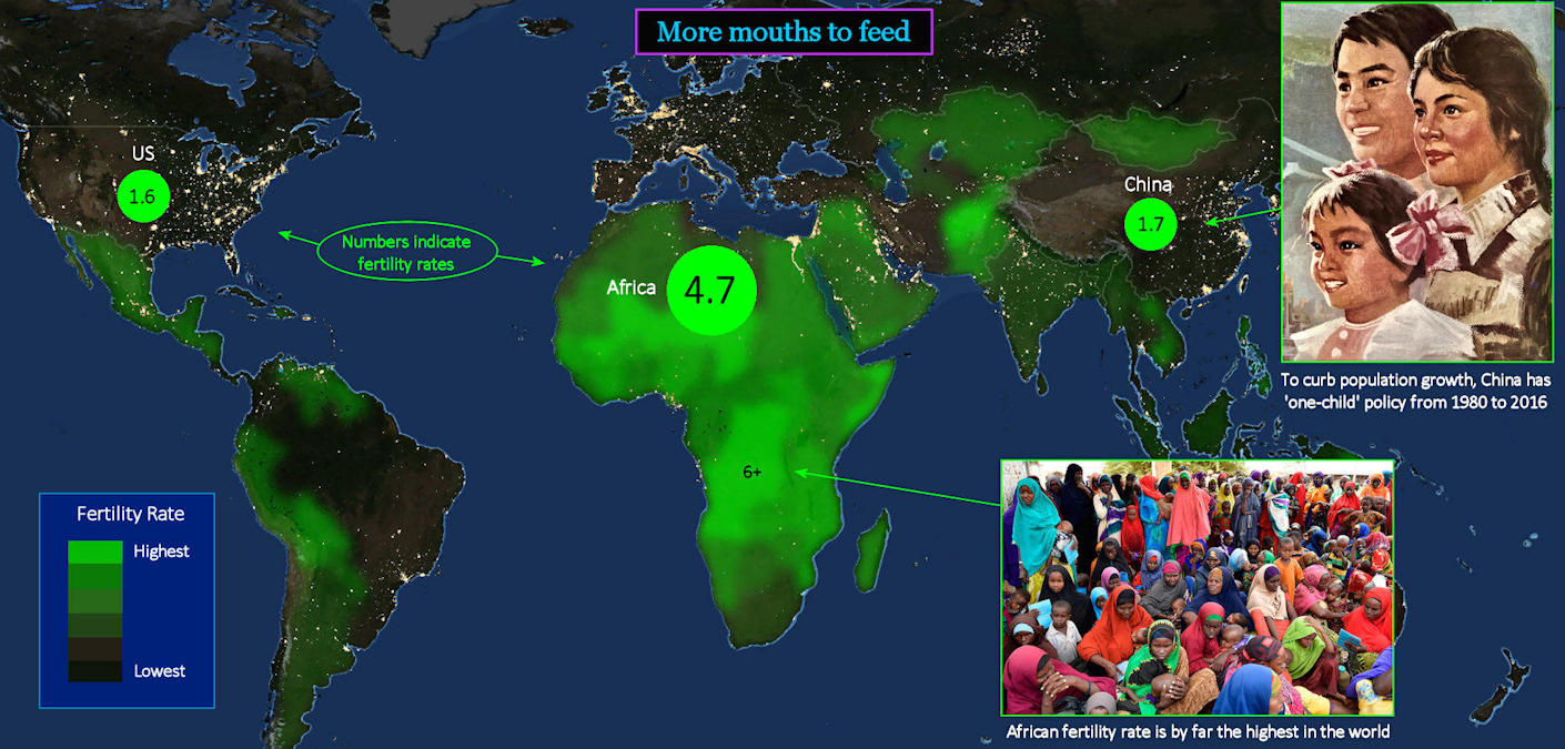 Food, global birth rates, 2020 map